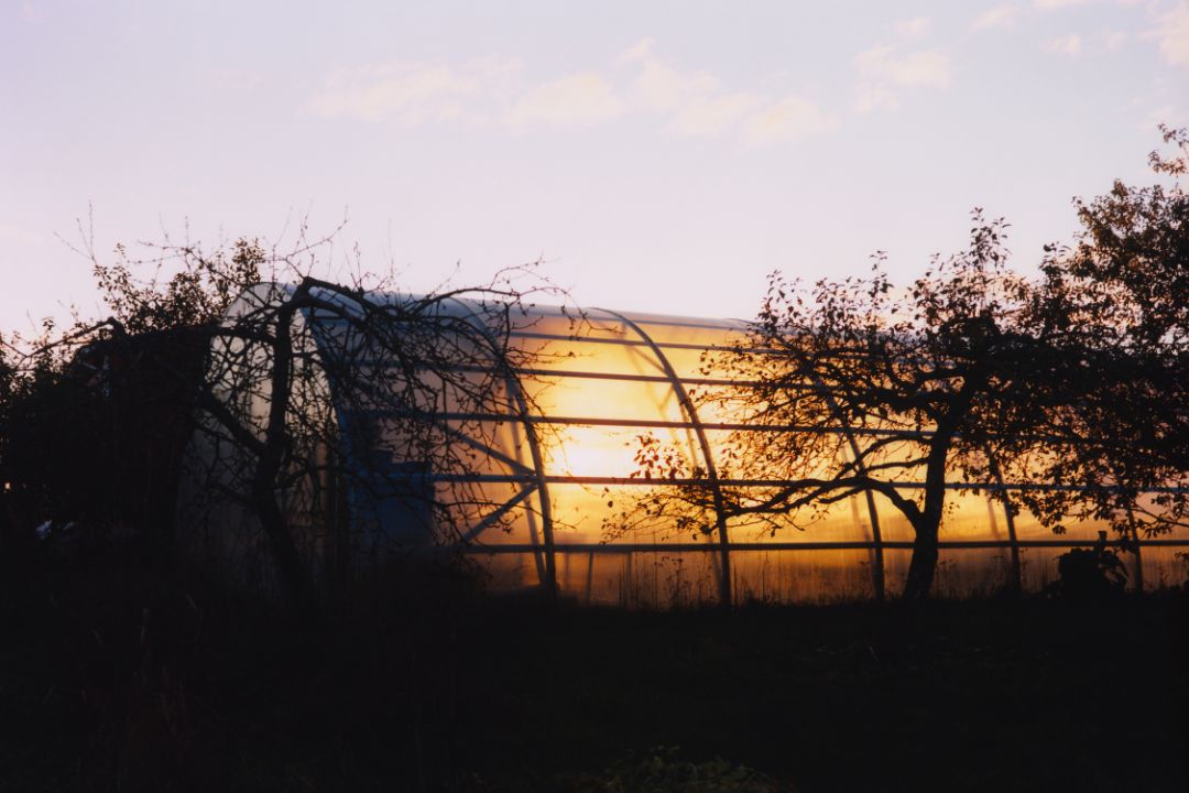 Pimeässä lämmintä valoa loistava kasvihuone