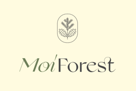 Moi Forest - Ruohonjuuri