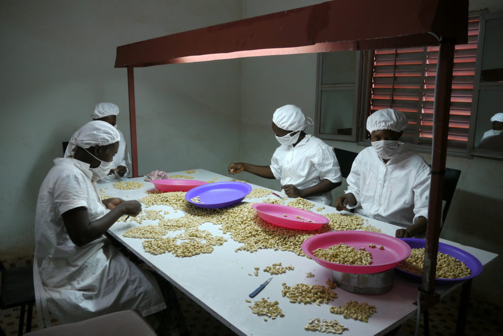 Burkina Fasossa osuuskunnat työllistävät kunnollisella palkalla paikallisia ihmisiä cashew-pähkinöiden tuotannossa.