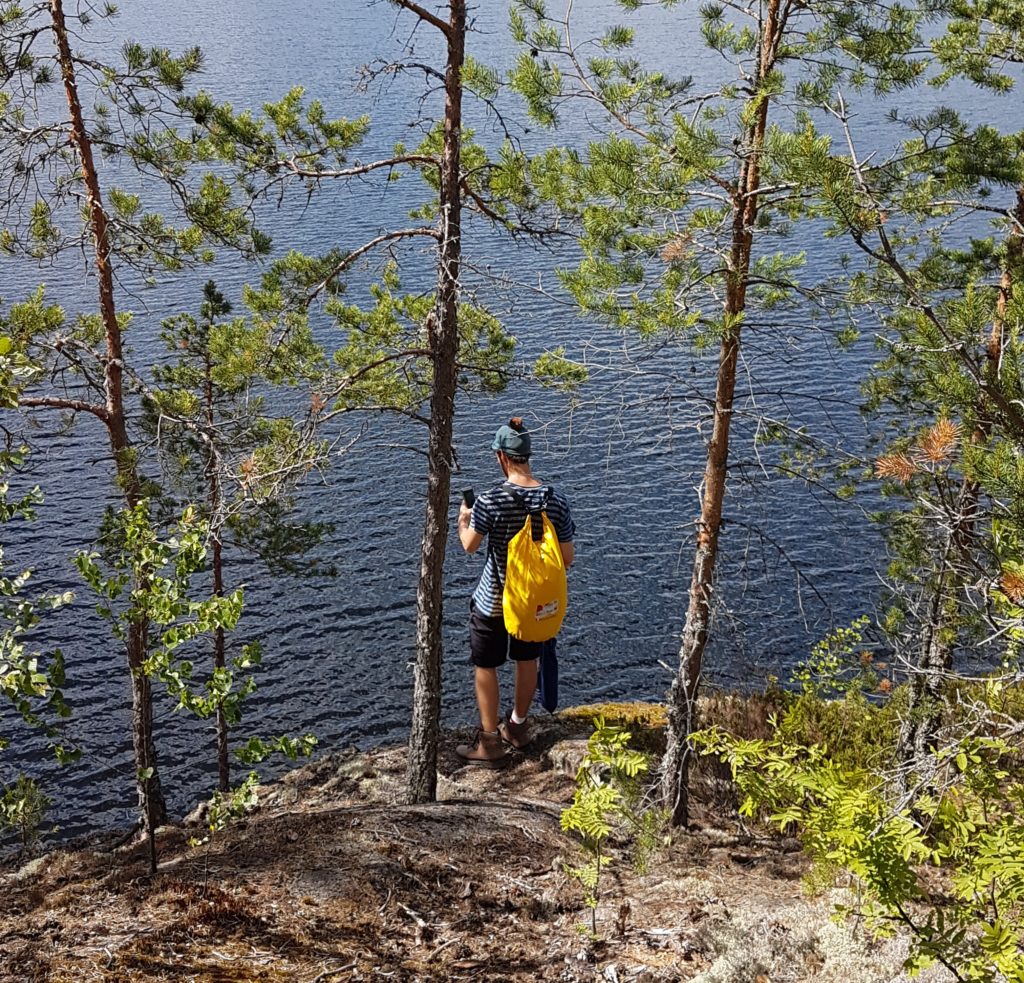 Jos metsään haluat mennä nyt, sä takuulla yllätyt! Metsästä voi kiireinenkin nykyihminen ammentaa monipuolista tukea hyvinvoinnilleen.