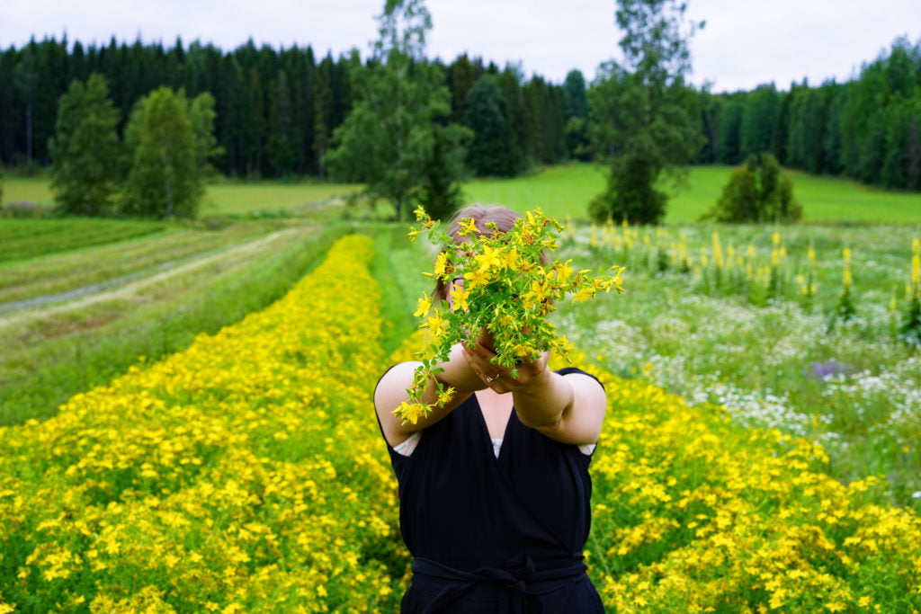 Frantsila – kauneutta ja terveyttä luonnon antimista