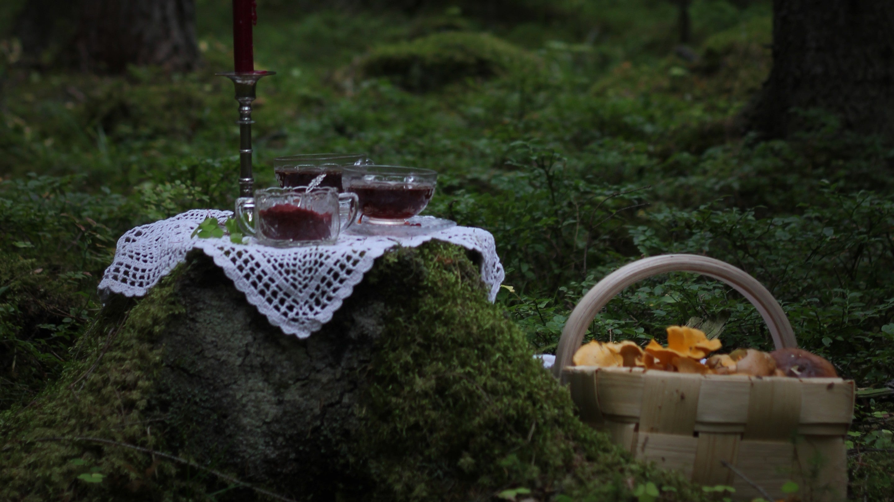 METTÄ - herkut metsästä